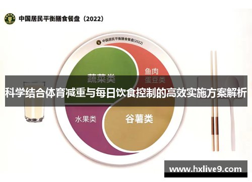科学结合体育减重与每日饮食控制的高效实施方案解析